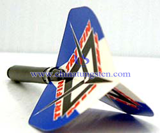 Dart Flight Picture
